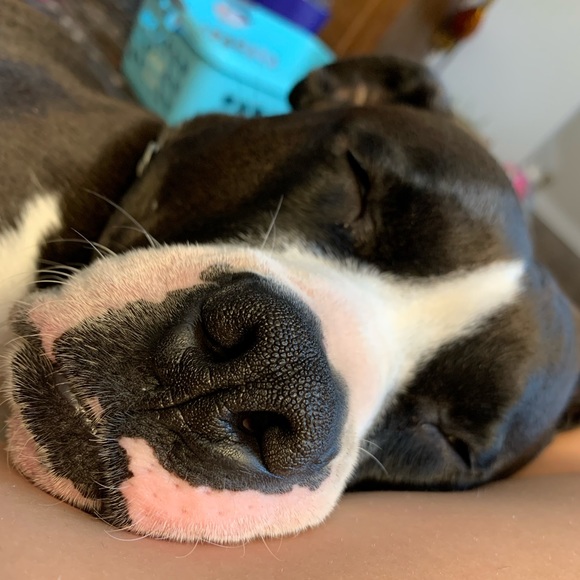 Meet Your Posher, Rachel - Picture 11 of 14